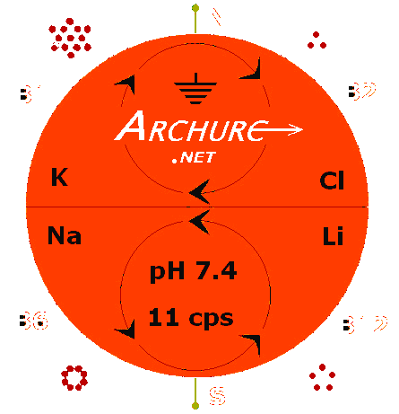 Mandala of Science, by ARCHURE